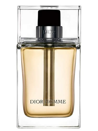 dior homme 2005|dior luchtje mannen.